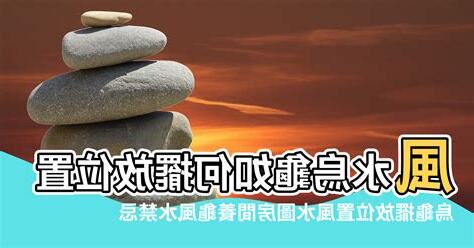 養烏龜 風水